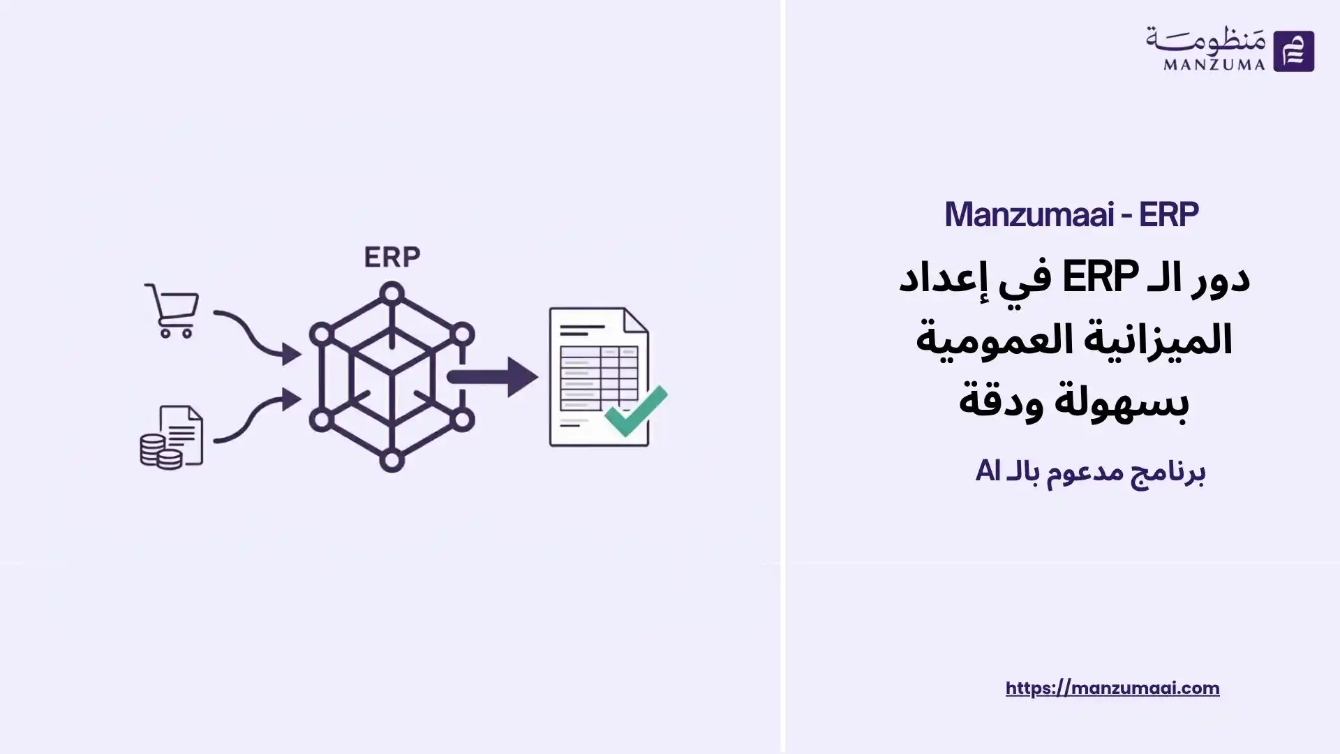 دور الـ ERP في إعداد الميزانية العمومية بسهولة ودقة